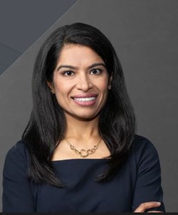 Seema G Patel Financial & Legal Services in Tefft, IN