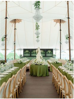 Chabbria Entertainment in Bascom, FL