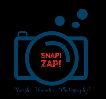 Snapzap Photography in Austin, TX