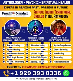 Astrologer In New York And Spiritual Psychic Reader Nanda Ji in South Richmond Hill, NY