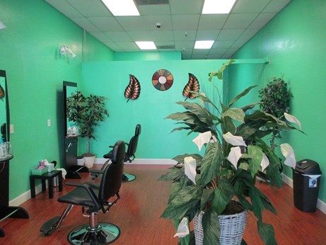 Hollywood Beauty Eyebrow Threading  in Garland, TX