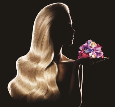 Vidogi Salon in Globe, AZ