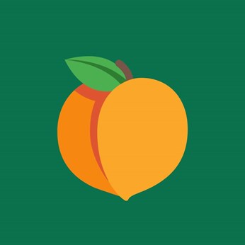 Atlanta Peach Packers & Movers in Atlanta, GA