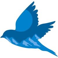 Bluebird Moving in Boise, ID