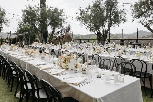 Palm And Pine in orange county, CA