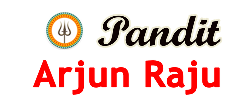 Pandith Arjun Raju Astrologer in Iselin, NJ