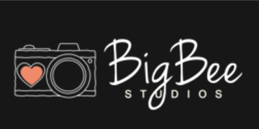 Big Bee Studios in Bloomington, IL