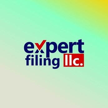 Expert Filing LLC in Canton, MI