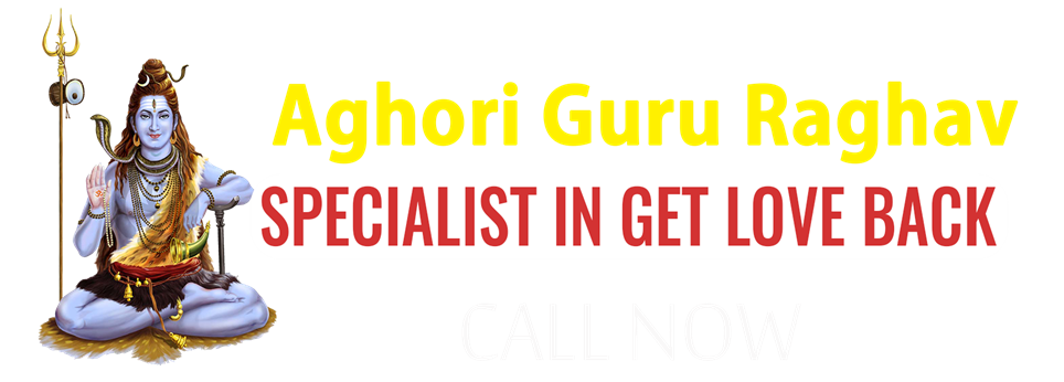Astrologer Pandith Aghori Guru Raghav Ji in Atlanta, GA