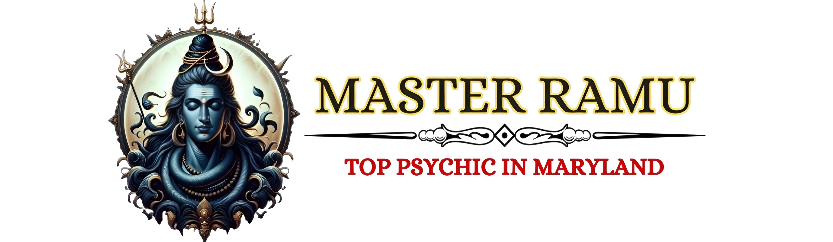 Astrologer Ramu in Silver Spring, MD