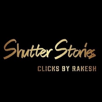 Shutter Stories Photography in Bellevue, WA