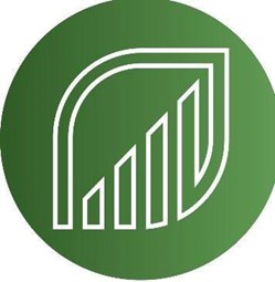 Tree Of Life Financial  in Flushing, NY