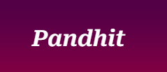 Astrologer Pandhit Ji in Jamaica, NY