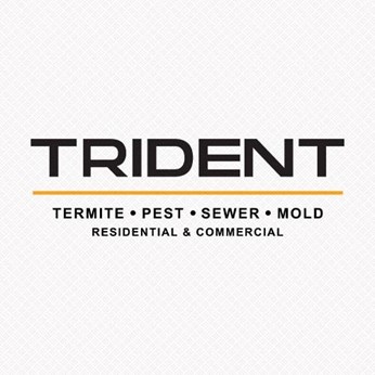 Trident Inspection Group in Los Angeles, CA
