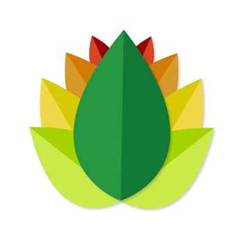 Sai Ayurvedic Institute 