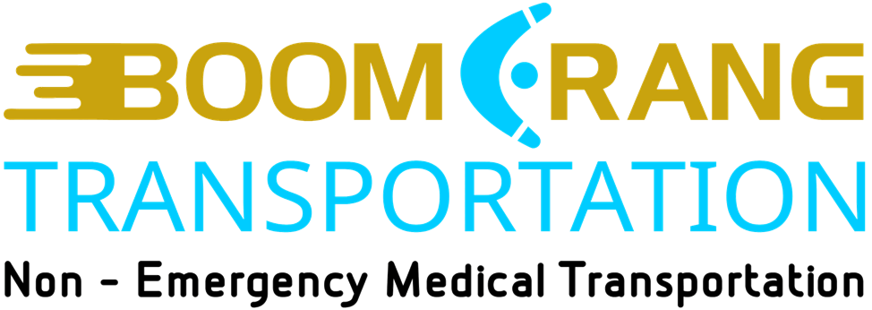 Boomerang Transportation