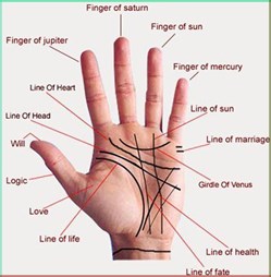 profile image for Indian Astrologer Udupi Das
