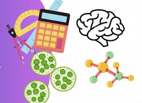 Tanisha Panda Tutor in Stamford, CT