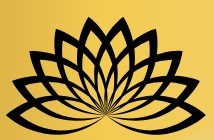 Astro Vedic Insights By Darshit Patel in Hoffman Estates, IL