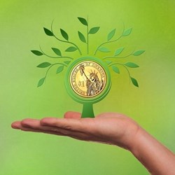 Insure Your Future in Flower Mound, TX