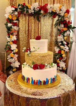 NS Events By Neha LLC in Hernando, FL