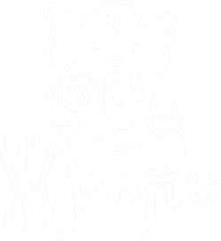 Maaji's Street Kitchen in Columbia, MO