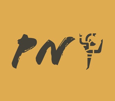 Pranavam Nrithyalaya in Aldie, VA