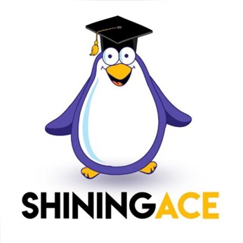 Shiningace in Raritan, NJ