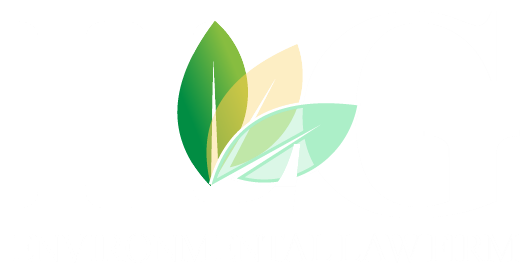Iyer Law Group, LLC in Rockville, MD