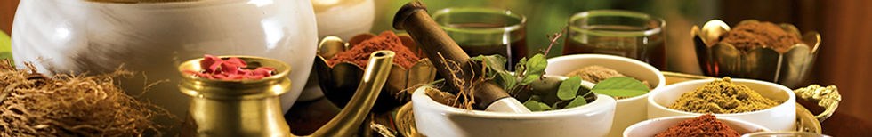 Ayurveda Wellness House in Cleveland, OH