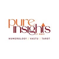 Pure Insights By Ravi in Michigan City, IN