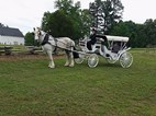 Carolina Horse & Carriage in Raleigh, NC