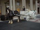 Nottingham Shire & Carriage For Hire LLC in Atlanta, GA