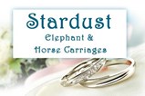 Stardust Elephant And Horse Carriages in Cincinnati, OH