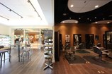 Wild Root Salon And Spa in Seattle, WA