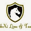 CabXi Limo & Taxi in Chicago, IL