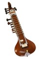 Sameer Sayani Sitar Artist in dallas, TX