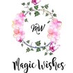 Magic Wishes in Sacramento, CA