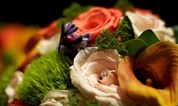 Almeidas Floral Designs in Philadelphia, PA