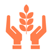 Anjomi Insurance Agency in San Jose, CA