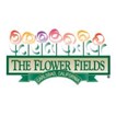 The Flower Fileds in San Diego, CA