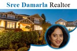 profile image for SreeDevi Damarla, Realtor