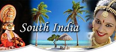 South Indian Restaurant in Austin, TX