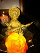 Sai Shakti Gardens in Boston, MA