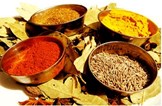 Essence Of India in Orlando, FL
