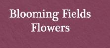 Blooming Fields Flowers in Newark, NJ