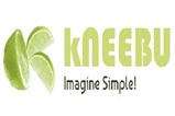 KNEEBU LLC in Chicago, IL