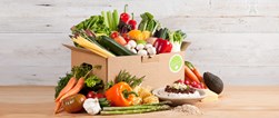 Jothi Fresh Homemade Food/Catering in Chandler, AZ