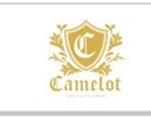 Camelot Specialty Limos in New York, NY