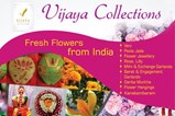 Vijaya Collections in Birmingham, AL